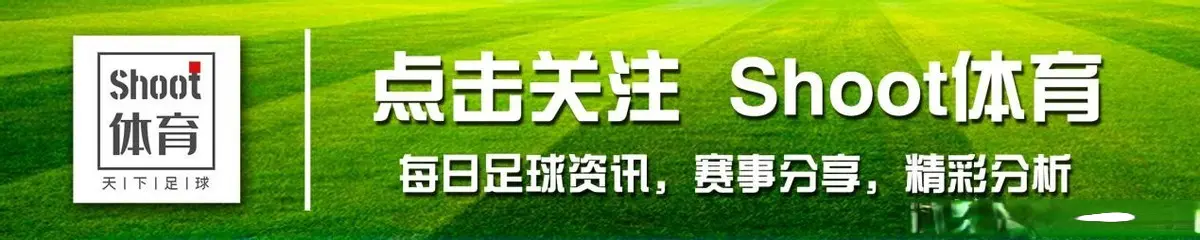 帕纳辛纳科, 萨尔茨堡V